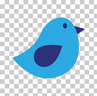 Bird Drawing PNG