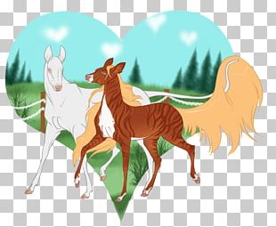 Foal Mustang Colt Pack Animal Camel PNG