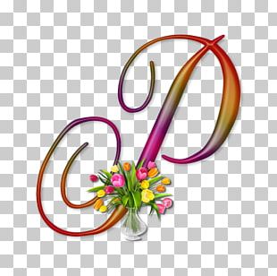 Lettering Alphabet Letter Case Font PNG