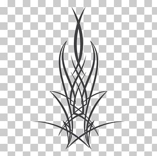 Line Art Pinstriping PNG