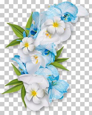 Flower Desktop PNG