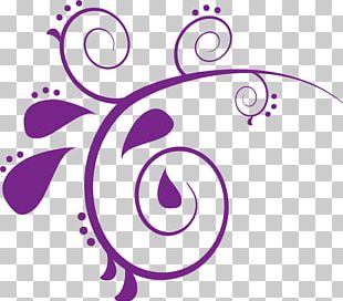 Paisley Designs: 44 Original Plates PNG
