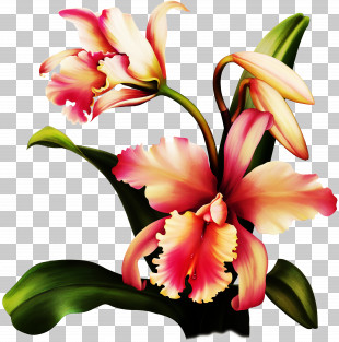 Artificial Flower PNG