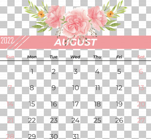 Flower Line Font Calendar Petal PNG