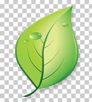 Family Promise Of Brevard Blogger Computer Icons Health PNG