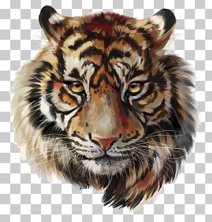 Tiger Logo - Artistic Painted Tiger Head Illustration PNG