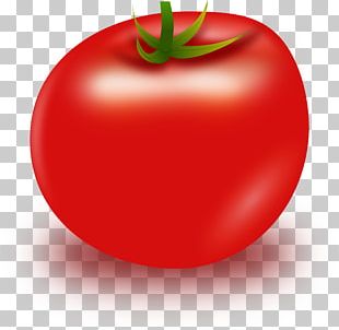 Tomato Soup PNG