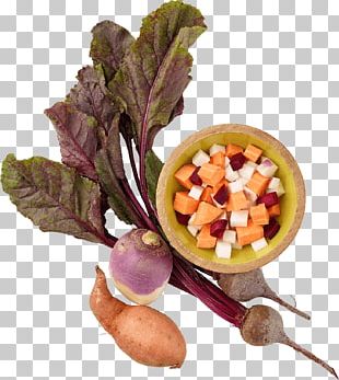 Vegetarian Cuisine Chinese Chicken Salad Food Leaf Vegetable PNG