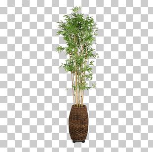 Flowerpot Bamboo Weaving Houseplant PNG