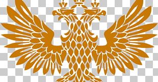 2018 World Cup Russia National Football Team 2014 FIFA World Cup Russian Premier League PNG