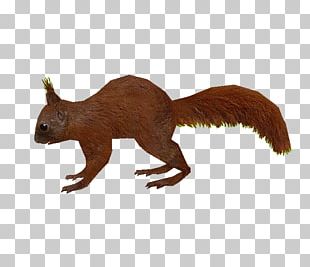 Squirrel Acorns PNG, Clipart, Acorns, Animation, Cartoon, Chipmunk ...