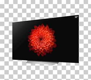 LG 4K Resolution OLED High-definition Television PNG