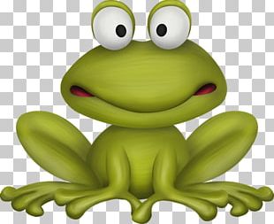 Frog PNG Images, Frog Clipart Free Download