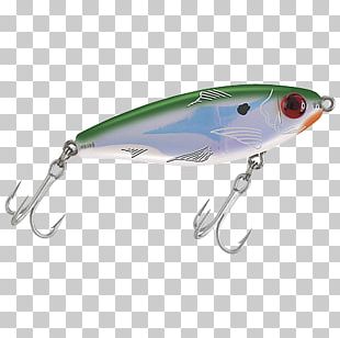 Sea Turtle Fishing Baits & Lures Soft Plastic Bait PNG, Clipart, Angling,  Animals, Bait, Bombshell, Color Free PNG Download