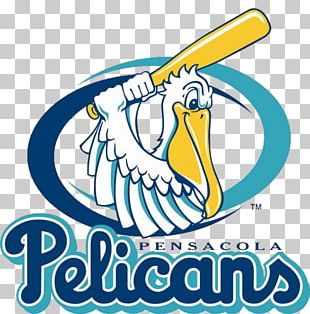 Regions Field Pensacola Blue Wahoos At Birmingham Barons Tickets Regions  Park Yankee Stadium PNG, Clipart, Aircraft