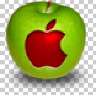 IPhone X IPhone 8 IPhone 6s Plus Apple IPhone SE PNG