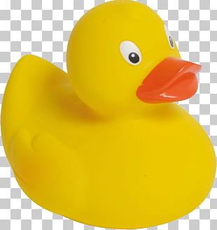 Rubber Duck Bathtub Bathroom Tile PNG
