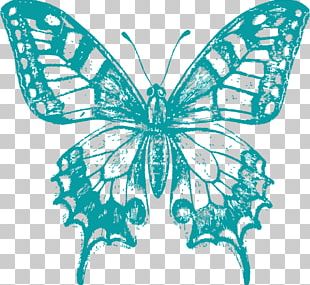 Swallowtail Butterfly Papilio Machaon Drawing Painting PNG