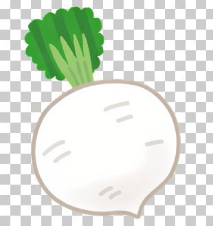 Vegetable - Turnip With Green Leaves PNG