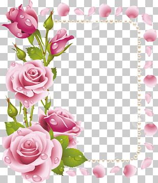 Rose Frame Flower Pink PNG, Clipart, Android, Art, Background Light ...