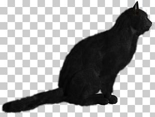 Black Cat Kitten PNG, Clipart, Animals, Autocad Dxf, Bat, Black, Black ...