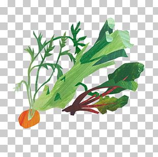 Spring Greens Emoji Emoticon Collard Greens PNG, Clipart, Cabbage ...