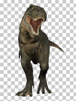 Gray dinosaur illustration, Tyrannosaurus T-shirt Dino T-Rex Runner 2  Lonely T-Rex Run 2 Google Chrome, 8 BIT transparent background PNG clipart