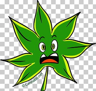 Cannabis Tea Cannabis Cup Marijuana Leaf PNG, Clipart, Area, Artwork ...