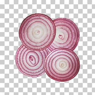 sliced onion png