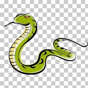 Common Garter Snake Vipers PNG, Clipart, Animals, Boa Constrictor, Boas ...