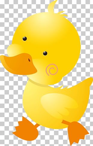 Little Yellow Duck Project American Pekin Computer Icons PNG, Clipart ...