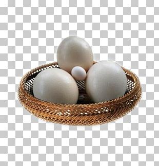 Common Ostrich Bird Fried Egg Chicken Ham And Eggs PNG