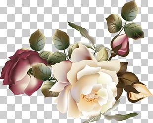 Flower Garden Roses Vintage Clothing PNG, Clipart, Decoupage, Designer ...