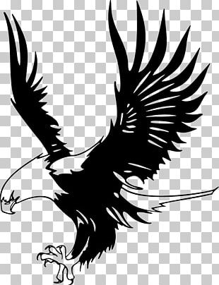 Bald Eagle Black-and-white Hawk-eagle Open PNG, Clipart, Art, Artwork ...