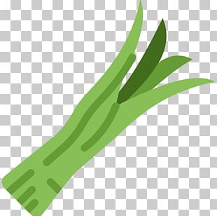 Icon PNG
