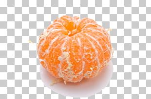 Mandarin Orange Juice Satsuma Mandarin Clementine Citrus Xd7 Sinensis PNG