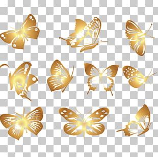 Golden Butterfly PNG Images, Golden Butterfly Clipart Free Download