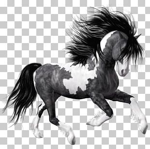 Horse Stallion Desktop PNG, Clipart, Animals, Bridle, Colt, Com ...