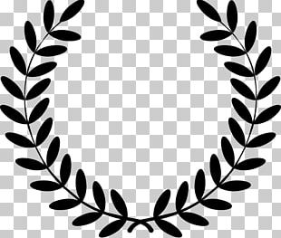 Laurel Wreath Olive Wreath Bay Laurel PNG, Clipart, Artwork, Award, Bay ...