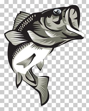 Largemouth Bass Bass Fishing Sunfishes PNG, Clipart, Bass, Bass Fishing ...