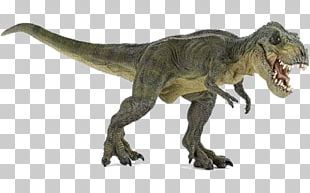Tyrannosaurus Spinosaurus Triceratops Velociraptor Dinosaur PNG