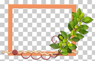 Floral Design Frames PNG