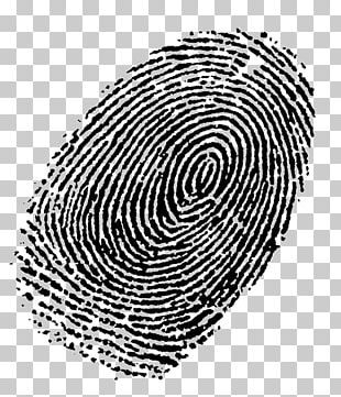 Barcode Drawing PNG