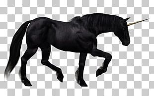 The Black Unicorn Horse PNG