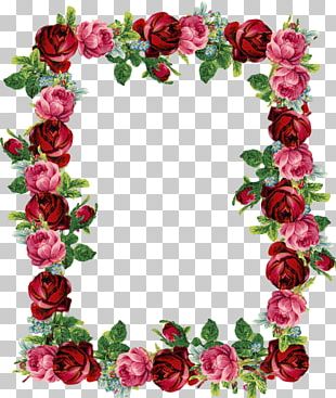 Rose Flower Pink PNG, Clipart, Artificial Flower, Blue Rose, Border ...