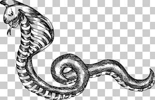 Black And White Snake PNG