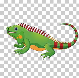 Pictor Media Animation Green Iguana Marine Iguana PNG, Clipart, 2d ...