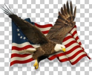 Bald eagle Flag of the United States Tattoo, american patriotism