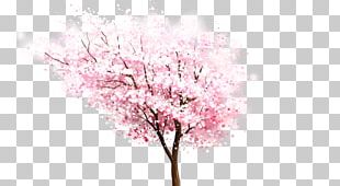 Cherry Blossom Tree Peach PNG, Clipart, Agac, Agac Resimleri, Agac ...