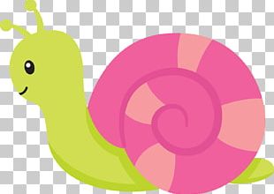 Garden Drawing Paper Animal PNG